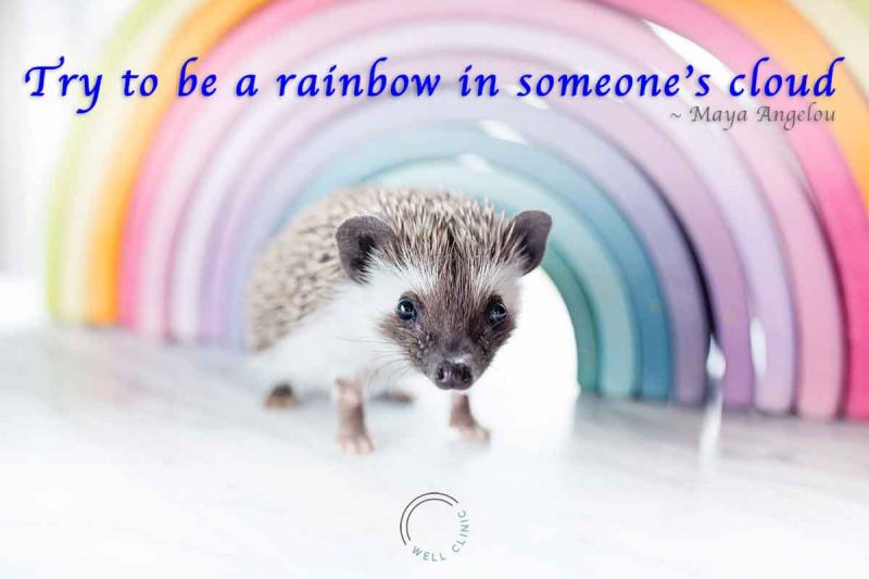 "Try to be a rainbow in someone's cloud quote by Maya Angelou